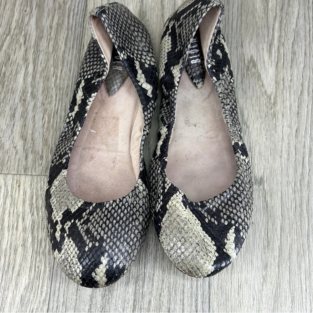 Bloch Ballet Snakeskin Patterned Flats - Picture 7 of 10